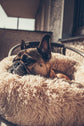 PuffyBlend™ Calming Pouf+ Dog Bed