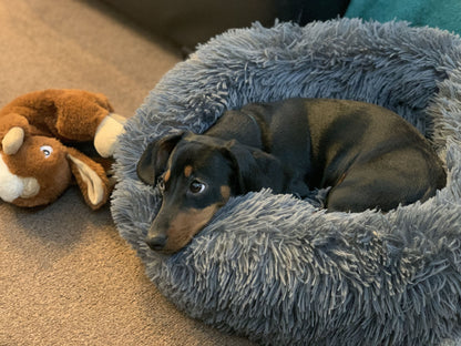 PuffyBlend™ Calming Pouf+ Dog Bed