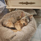 PuffyBlend™ Calming Pouf+ Dog Bed